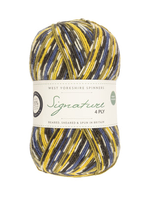 Green Woodpecker Mock-Cable Socks by Winwick Mum - Book Gift Set