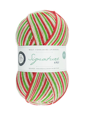 Green Woodpecker Mock-Cable Socks by Winwick Mum - Book Gift Set