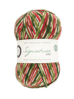 Green Woodpecker Mock-Cable Socks by Winwick Mum - Book Gift Set