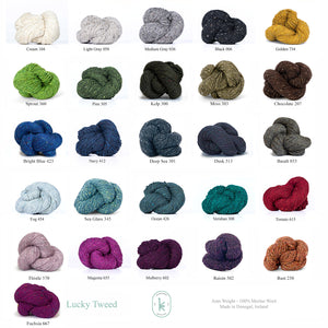 Kelbourne Woolens - Lucky Tweed