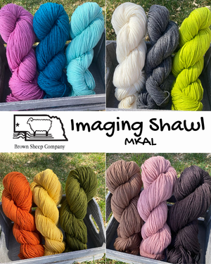 Imaging Shawl by Aud Bergo