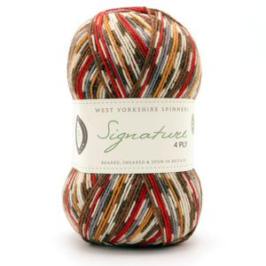 Green Woodpecker Mock-Cable Socks by Winwick Mum - Book Gift Set