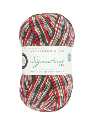 Green Woodpecker Mock-Cable Socks by Winwick Mum - Book Gift Set