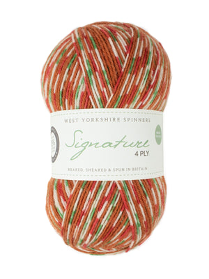Green Woodpecker Mock-Cable Socks by Winwick Mum - Book Gift Set