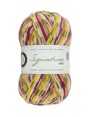 Green Woodpecker Mock-Cable Socks by Winwick Mum - Book Gift Set