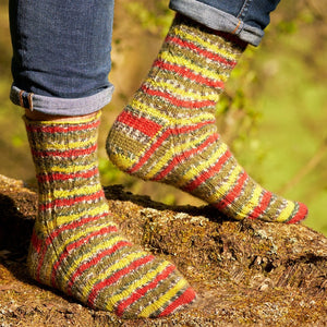 Green Woodpecker Mock-Cable Socks by Winwick Mum - Book Gift Set