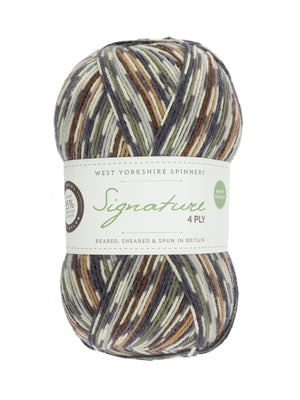 Green Woodpecker Mock-Cable Socks by Winwick Mum - Book Gift Set
