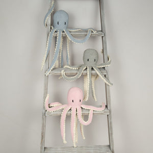 Robyn Octopus & Friends by Claire Gelder