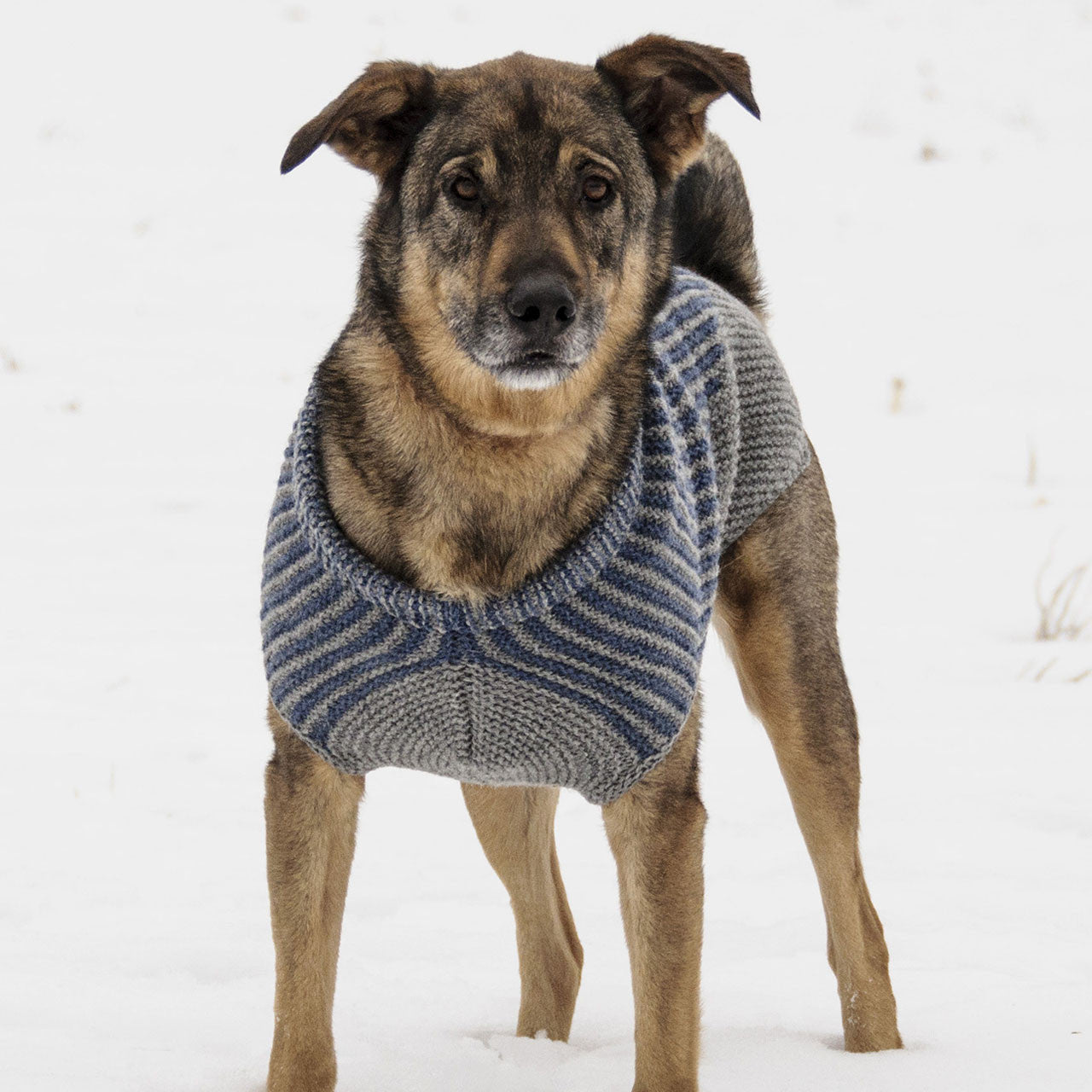 Bird Island Dog Sweater by Sys Fredens
