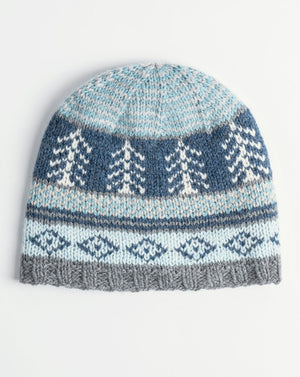 Winter Wonderland Hat by Blue Sky Fibers