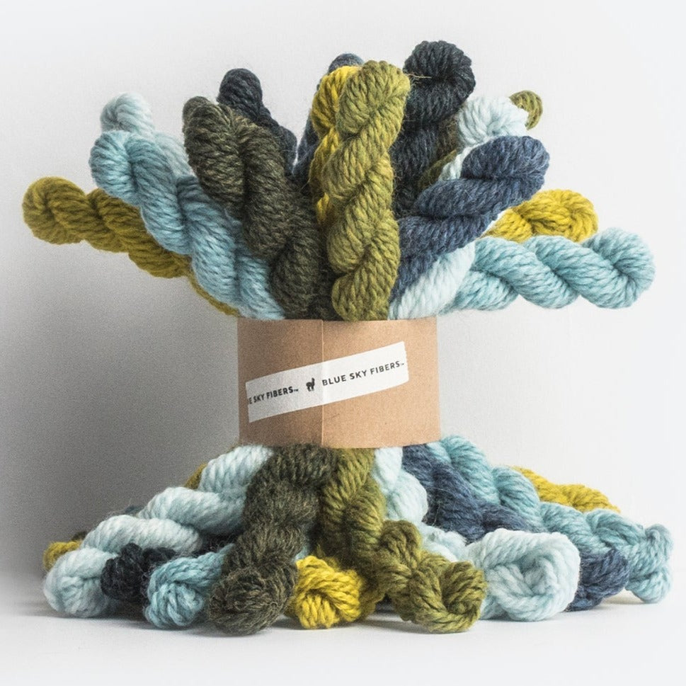Blue Sky Fibers- Woolstok Bundles & Mini's 5g