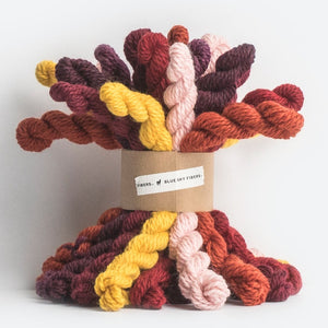 Blue Sky Fibers- Woolstok Bundles & Mini's 5g