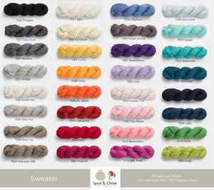 Blue Sky Fibers - Sweater