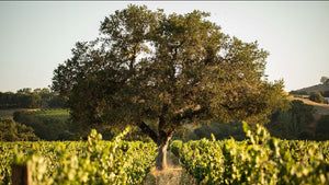 By Hand: Making Communities - Lookbook No. 13: NorCal Road Trip by Andrea Hungerford