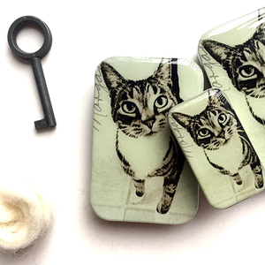 Cat Knit Kit with Notions by Firefly Notes