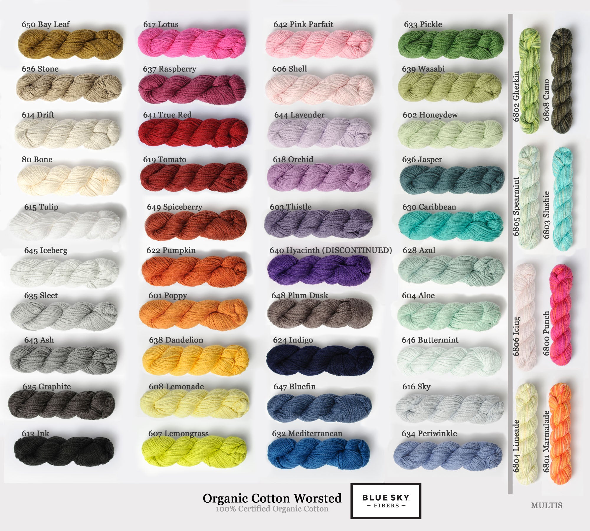 Baby Bobbi Bear by Bobbi IntVeld