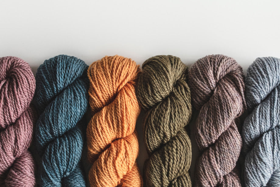 Nautilo by Melanie Rice